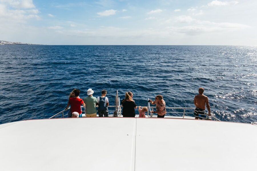 Adeje: Whale and Dolphin Watching Cruise with Lunch and Swim - Seasickness and weather: what to prepare for Tenerife mornings