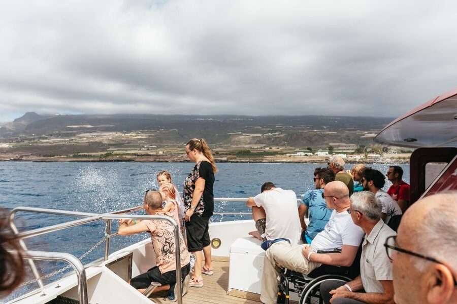 Adeje: Whale and Dolphin Watching Cruise with Lunch and Swim - The best viewing style: watching without chasing
