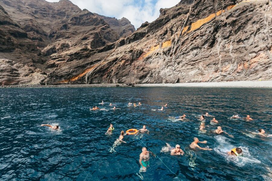 Adeje: Whale and Dolphin Watching Cruise with Lunch and Swim - Swim stop timing and how lunch fits in