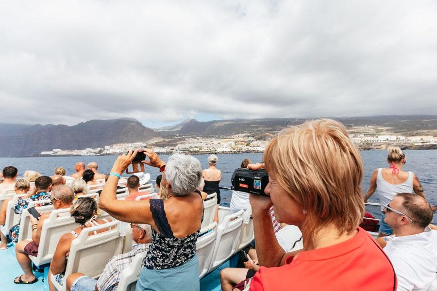Adeje: Whale and Dolphin Watching Cruise with Lunch and Swim - Boat comfort on a big catamaran: where to sit