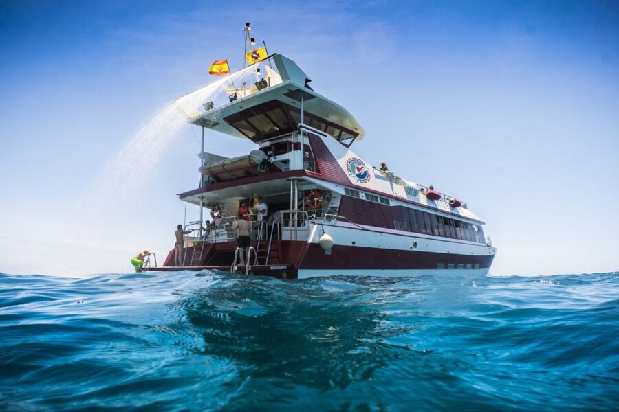 Adeje: Whale and Dolphin Watching Cruise with Lunch and Swim - Why this route matters: the Teno-Rasca conservation area