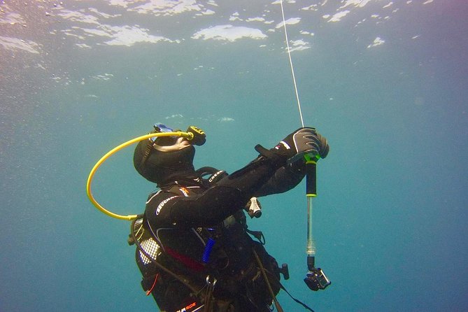 ADVANCED OPEN WATER CERTIFICATION - Improve your scuba diving skills up to 30m ! - Key highlights that matter in real life
