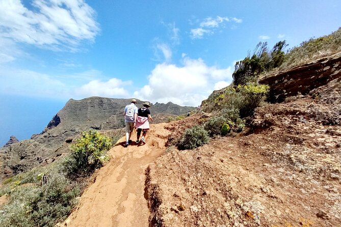Amazing Anaga - Laurel Forest and Endemic Plants: What Makes This Hike Special