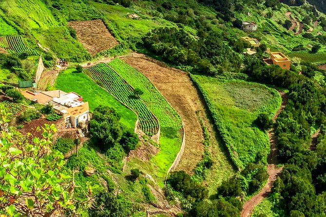Anaga Private Tour: Valleys of Nature and Tradition - Stop 3: Mirador Pico del Inglés and viewpoint hops across the Anaga massif