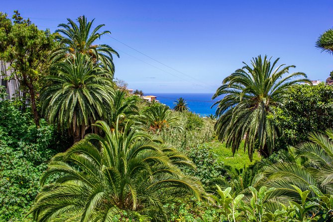 Anaga Private Tour: Valleys of Nature and Tradition - Stop 4: San Cristobal de La Laguna, guided old-town walking time