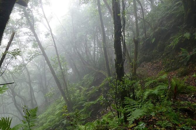 ANAGA: VIP tour: Forests, Peaks and Sea. - Key highlights at a glance