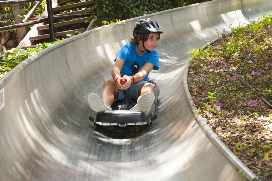 Arona: Entry Ticket to Tenerife's Jungle Park Zoo - Key things I’d circle before you go
