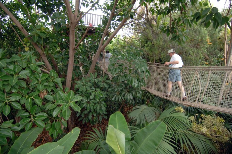 Arona: Entry Ticket to Tenerife's Jungle Park Zoo - Entering The Jungle Park: a day built around shows and walks