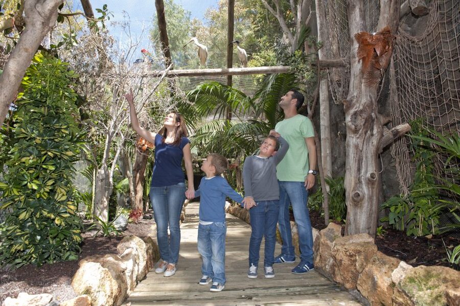 Arona: Entry Ticket to Tenerife's Jungle Park Zoo - The best way to plan your day: timing matters inside the park