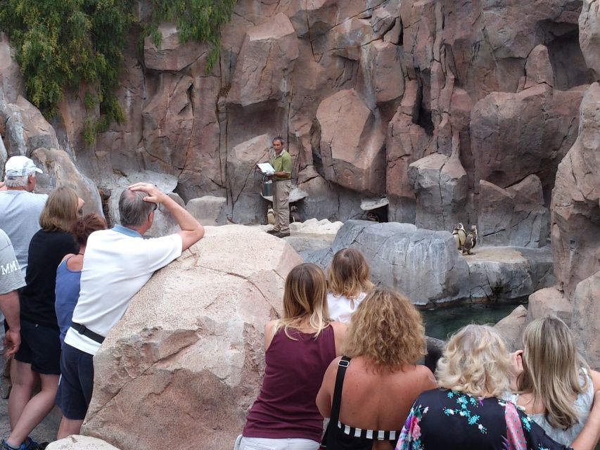 Arona: Entry Ticket to Tenerife's Jungle Park Zoo - Getting around: hills, strollers, and where your energy goes