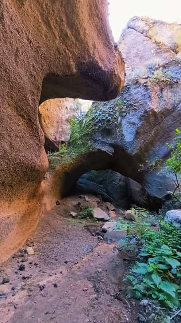 Barranquismo Tenerife: Canyoning Adventure - 3.5 Hours of Canyoning: Waterfalls, Downclimbs, and Controlled Adrenaline