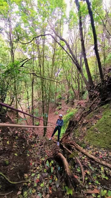 Barranquismo Tenerife: Canyoning Adventure - Price and Value: Why $73 Feels Fair for What You Get