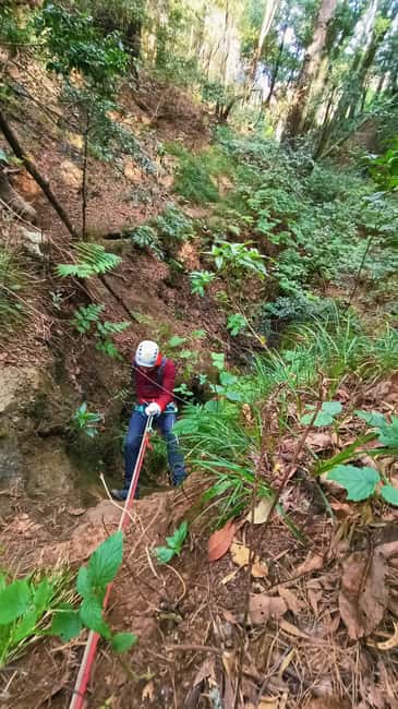 Barranquismo Tenerife: Canyoning Adventure - Anaga Rural Park Safety Briefing: Short, Serious, and Worth It
