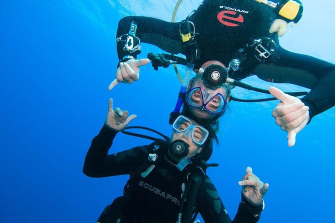 Basic Diver course for beginners with 1 dive in the Ocean - Key Points to Know Before You Go