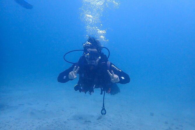 Basic Diver course for beginners with 1 dive in the Ocean - The Day Starts at GooDiving, Then Moves Straight Into Training