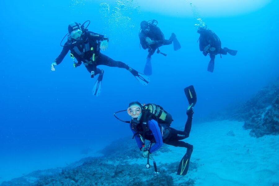 Beginner Scuba Dive with Scubapoint Tenerife in Turtle Area - Key Highlights You’ll Actually Feel