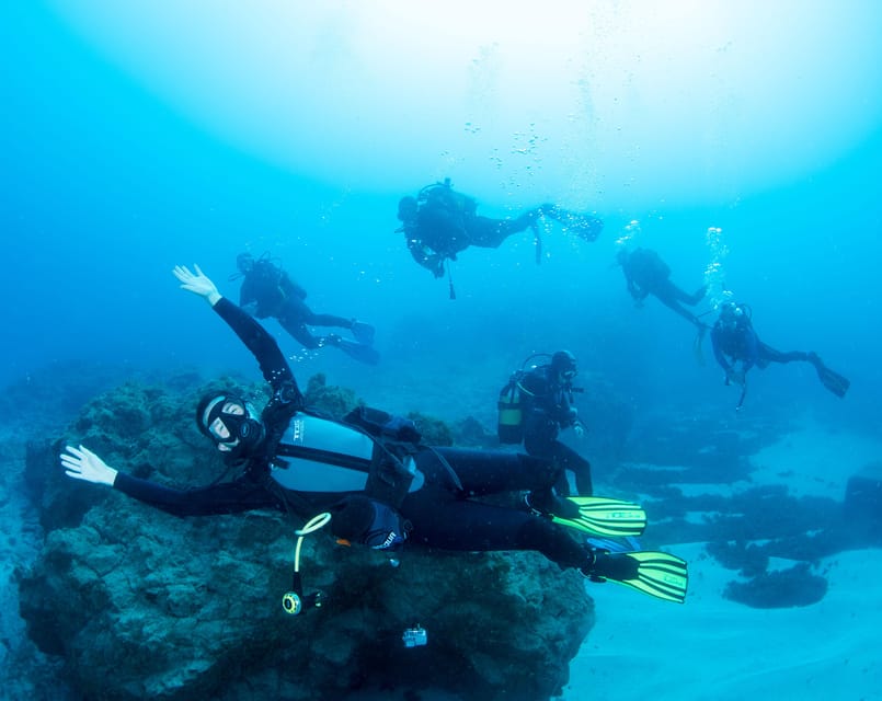 Beginner Scuba Dive with Scubapoint Tenerife in Turtle Area - Why Tenerife’s Turtle Area Works Well for a First-Timer Session