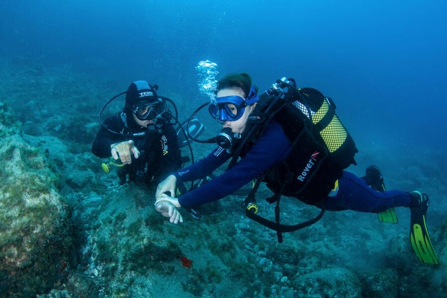 Beginner Scuba Dive with Scubapoint Tenerife in Turtle Area - Shore Skills First: Gear, Breathing Control, and Safety Rules