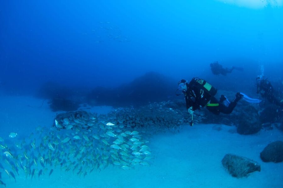 Beginner Scuba Dive with Scubapoint Tenerife in Turtle Area - The Atlantic Underwater Time: Exploring, Practicing, Staying Safe