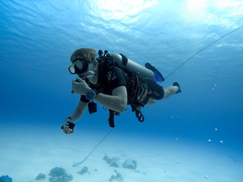 Beginner Scuba Dive with Scubapoint Tenerife in Turtle Area - Instructor Quality That Makes or Breaks the Experience