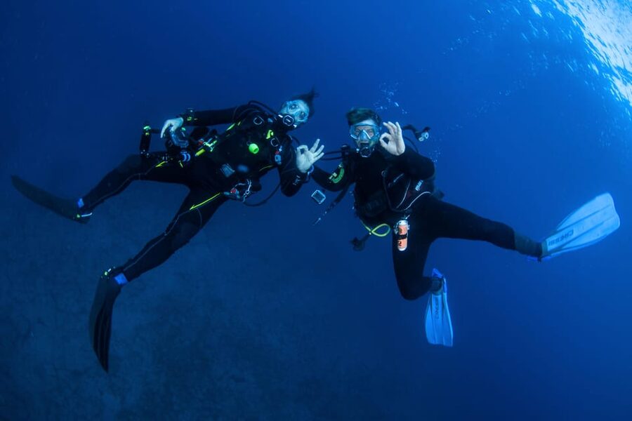 Beginner Scuba Dive with Scubapoint Tenerife in Turtle Area - What to Bring, What to Wear, and What Not to Do