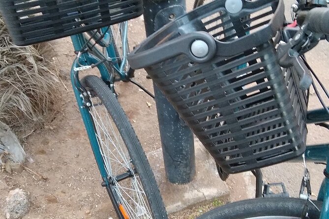 Bike Rental Tenerife - Phone and WhatsApp help: the kind of safety net you actually use