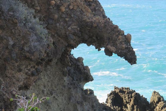 Boat Excursion to visit underwater lava tongues - Why Tenerife’s underwater lava tongues are different from a typical boat ride