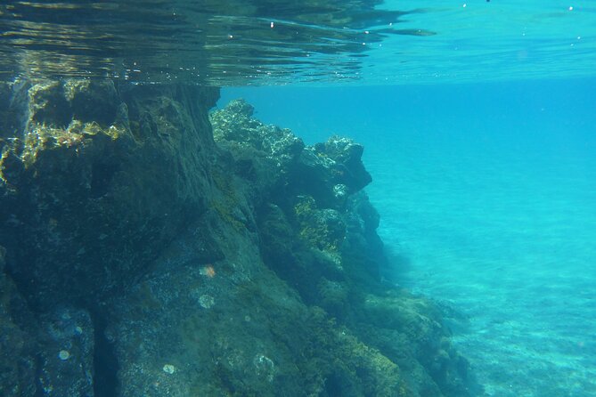 Boat Excursion to visit underwater lava tongues - Price and value: is $58.81 worth it?