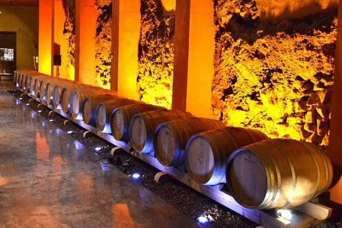 Bodegas Monje Winery Ticket w/Wine Tasting & Mojo Sauce Workshop - Who this tour suits best (and who should think twice)