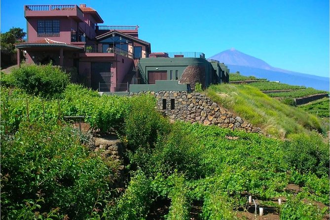 Bodegas Monje Winery Ticket w/Wine Tasting & Mojo Sauce Workshop - Practical tips before you arrive