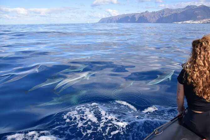 Bonadea II Ecological Whale Watching, 2 hours - Eco touches you can feel, not just read on a brochure