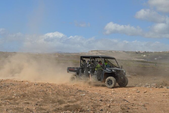 Buggy or Quad Tour Volcano Teide in Teide National Park - Small group energy and attention from your guide