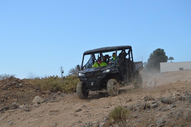 Buggy or Quad Tour Volcano Teide in Teide National Park - Who should book Buggy Quad Tenerife?