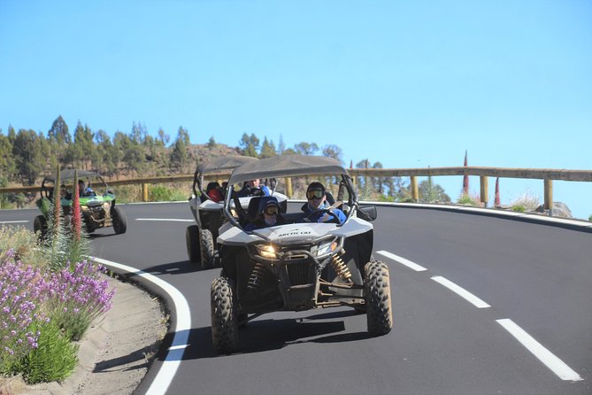 Buggy Safari Adventure 700cc - Teide National Park stop: why this part is the payoff