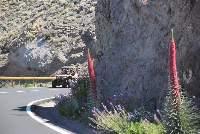 Buggy Safari Adventure 700cc - Who should book this buggy safari in Tenerife, and who should skip it