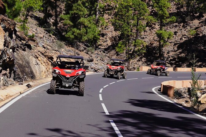 Buggy tour to Teide in Tenerife - Why a buggy ride to Teide feels different