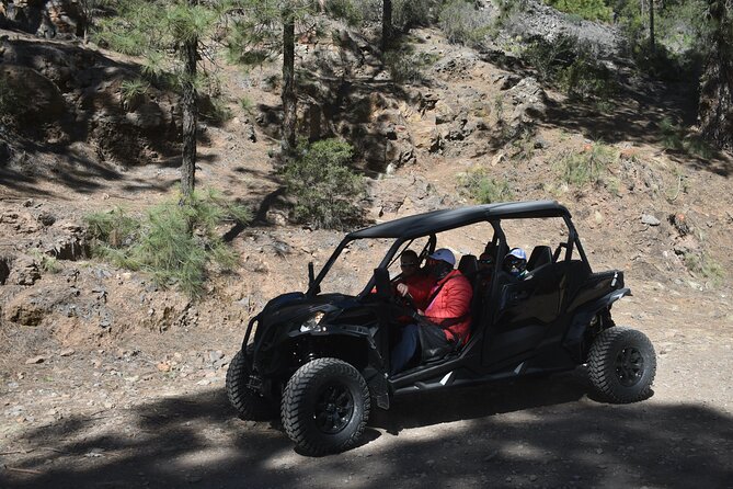 Buggy tour to Teide in Tenerife - The buggy itself: loud, open-air, and surprisingly manageable
