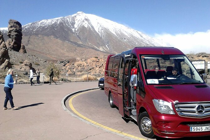 Cabrio Bus Full Day Guided Tour of Teide (SOUTH ONLY) - Key points before you go