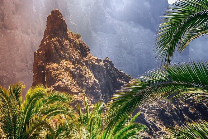 Cabrio Bus Full Day Guided Tour of Teide (SOUTH ONLY) - Who should book this Teide South tour?