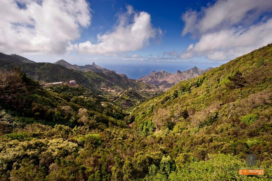 Colon Skies - Entering San Sebastián, La Gomera’s Columbus-Linked Capital