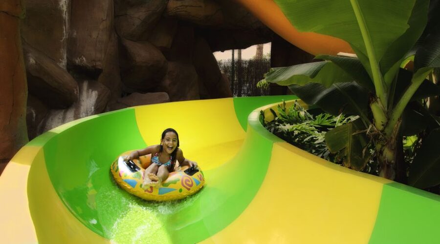 Costa Adeje: Aqualand Water Park Ticket with Dolphin Show - Isla Pirata and Puerto Pirata: where toddlers actually have a plan