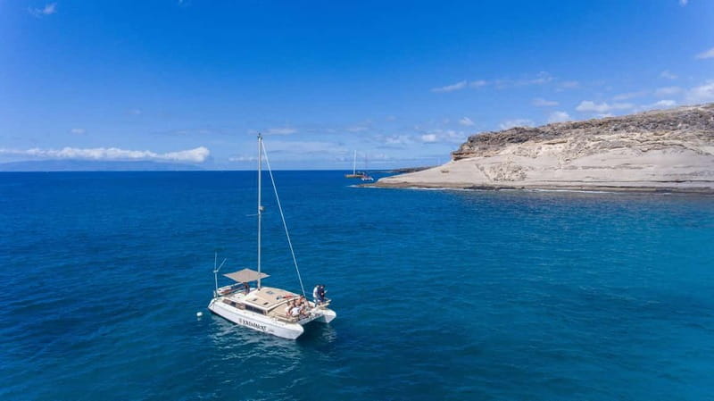 Costa Adeje: Catamaran Tour, Snorkelling, Snacks & Drinks - Price and value for $51: what you get for a half-day feel