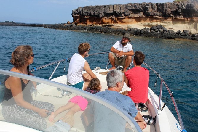 Costa Adeje | Cetacean sighting in Tenerife South - Key highlights you will feel on the water