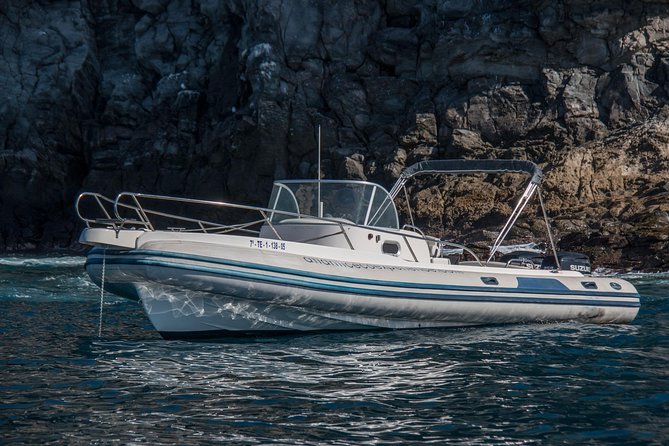Costa Adeje | Cetacean sighting in Tenerife South - What you might spot off Tenerife South, and what to look for