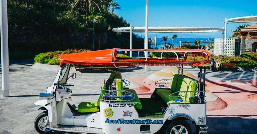 Costa Adeje: Double Tuk Tuk Tour - Who should book this Costa Adeje double tuk tuk tour