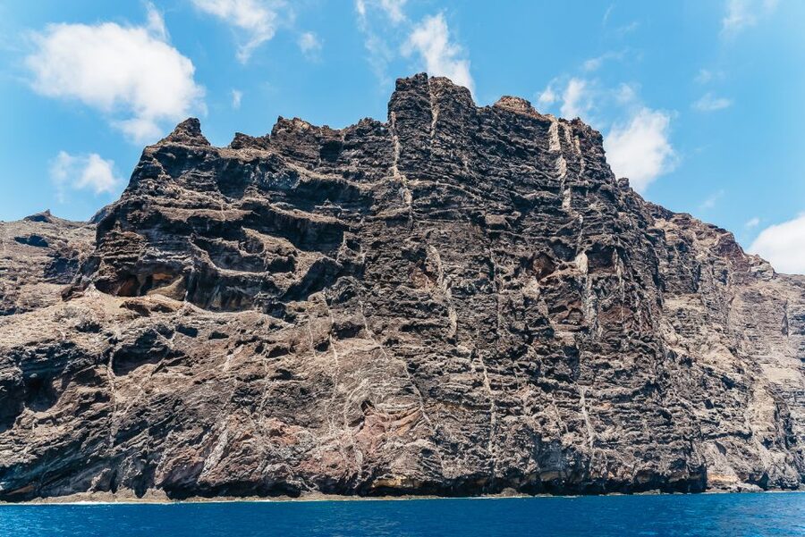 Costa Adeje: Masca and Los Gigantes Whale Watching Cruise - Price and value: what $71 gets you and where the tradeoffs are