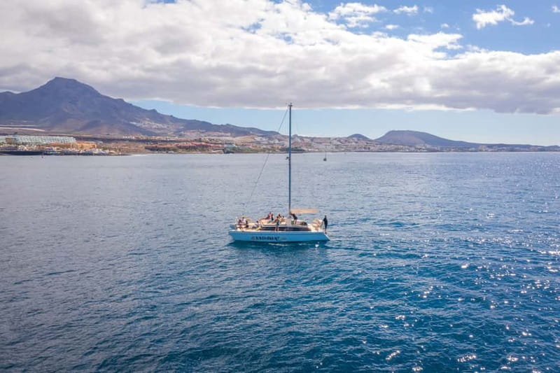 Costa Adeje: Private Catamaran Tour 22 Persons Max - Key highlights you will actually feel on board