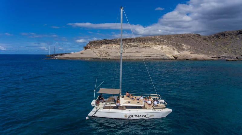 Costa Adeje: Private Catamaran Tour 22 Persons Max - Wildlife Spotting That Feels Helpful, Not Hopeful