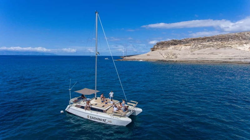 Costa Adeje: Private Catamaran Tour 22 Persons Max - Swimming and Snorkeling: What You Get, and What to Bring