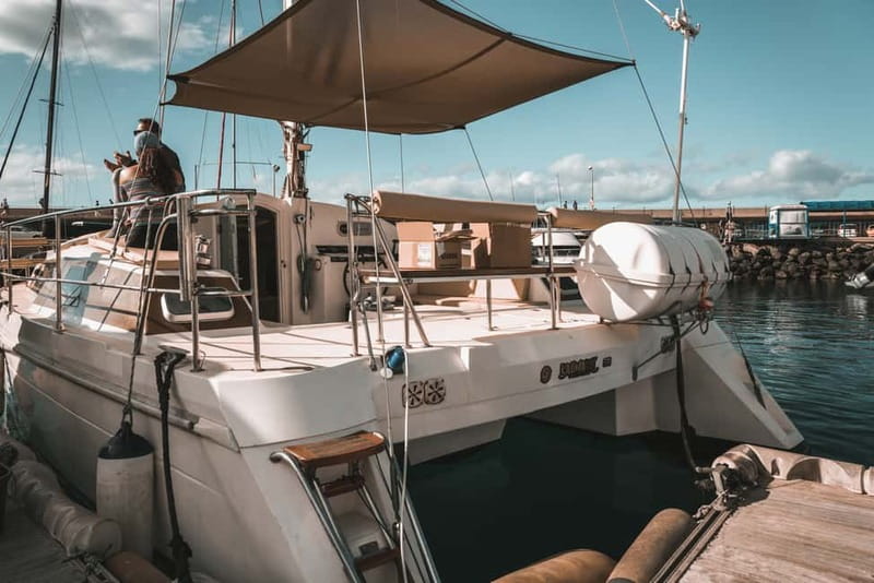 Costa Adeje: Private Catamaran Tour 22 Persons Max - Price and Value: When $952 Makes Sense for Your Group